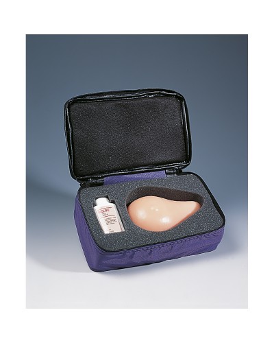 Standard Breast Self Examination Model, Beige